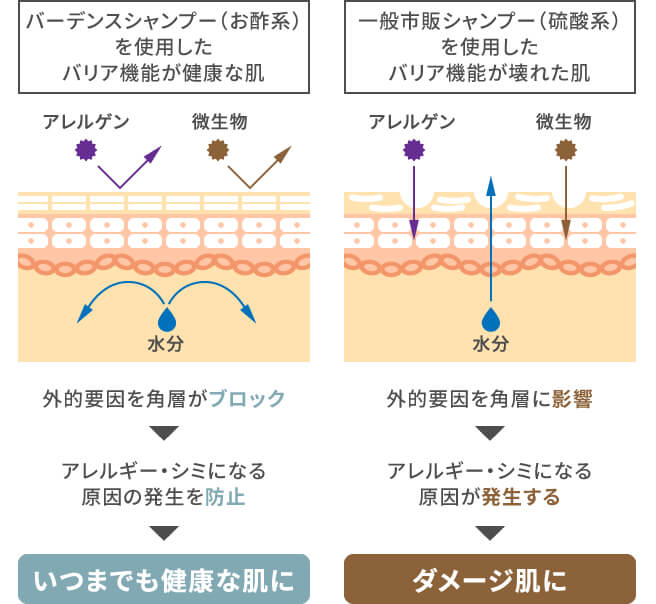 シャンプー使用時の肌の比較